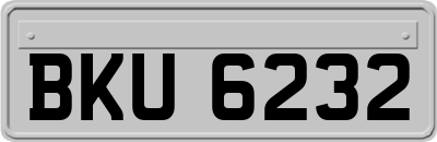 BKU6232