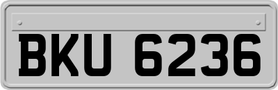 BKU6236