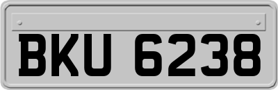 BKU6238