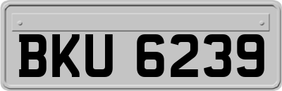 BKU6239