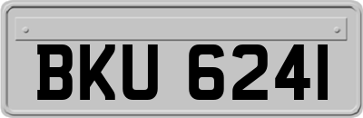 BKU6241