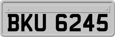 BKU6245