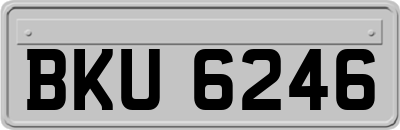 BKU6246