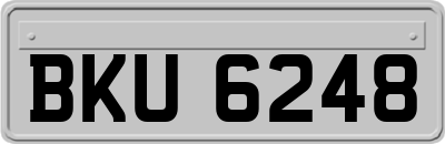 BKU6248