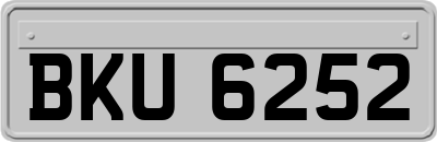 BKU6252