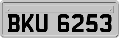BKU6253