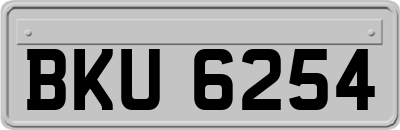 BKU6254