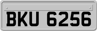 BKU6256