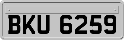 BKU6259