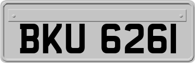 BKU6261
