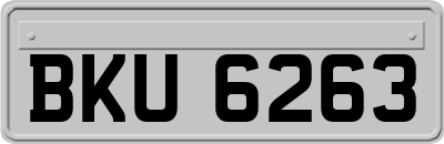 BKU6263