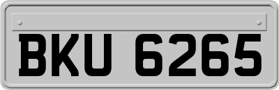 BKU6265