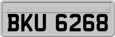 BKU6268