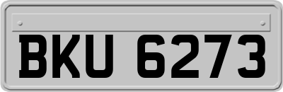BKU6273