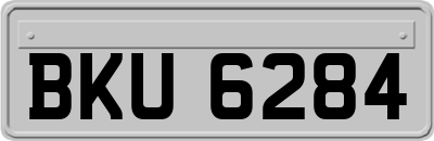 BKU6284