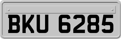 BKU6285