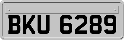 BKU6289