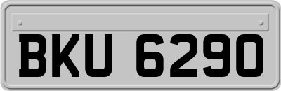 BKU6290