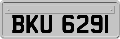 BKU6291