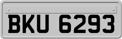BKU6293