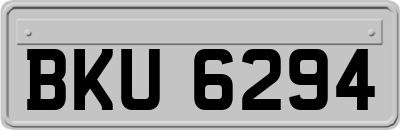 BKU6294