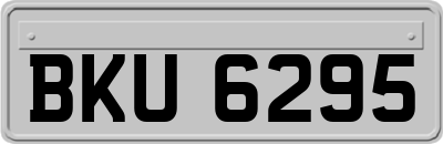 BKU6295