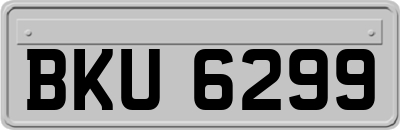 BKU6299