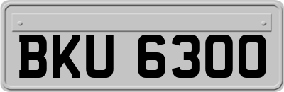 BKU6300