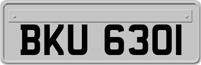 BKU6301