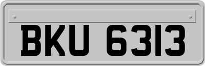 BKU6313
