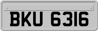 BKU6316