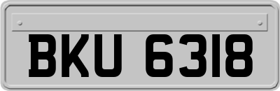 BKU6318