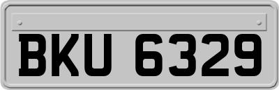 BKU6329