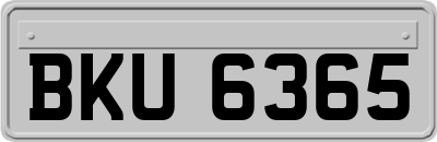 BKU6365