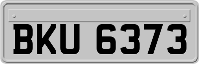 BKU6373