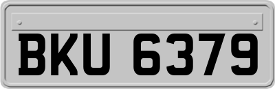 BKU6379