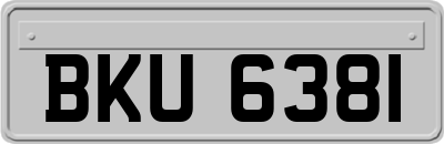 BKU6381