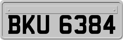 BKU6384