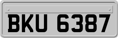 BKU6387