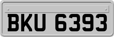 BKU6393