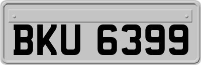 BKU6399