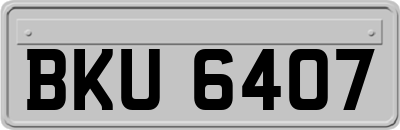 BKU6407
