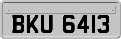 BKU6413