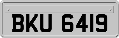 BKU6419