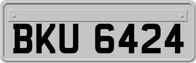 BKU6424
