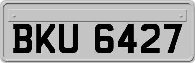 BKU6427