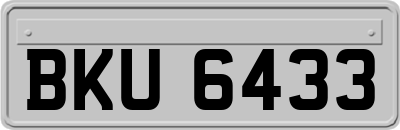 BKU6433