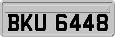 BKU6448