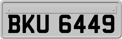 BKU6449