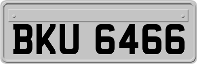 BKU6466